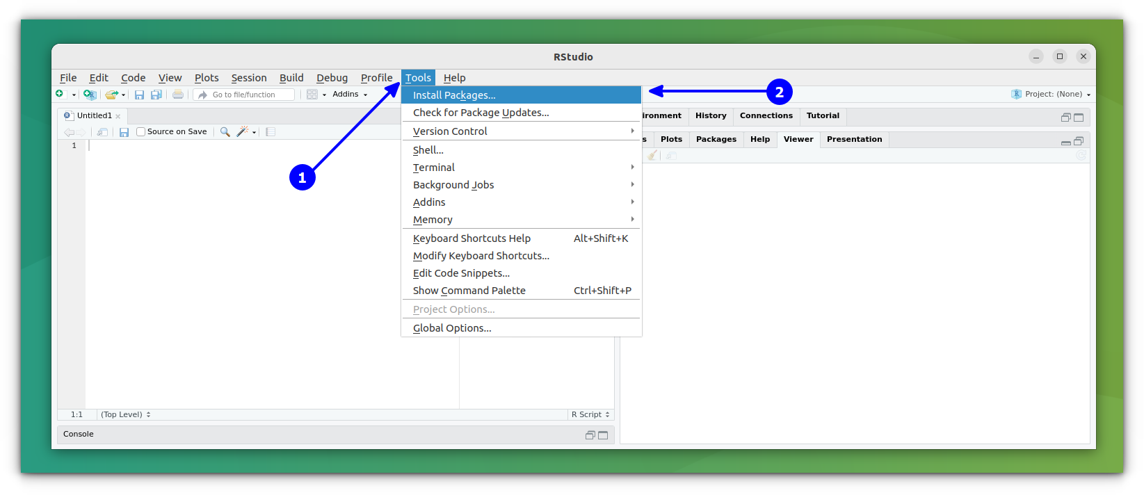 在 RStudio 的工具菜单下选择安装软件包选项