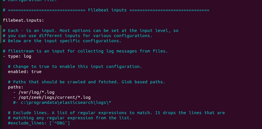 Figure 1: Filebeat config (a)